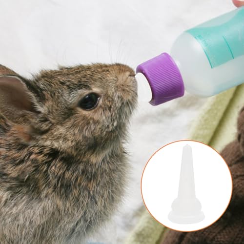 Tétines en silicone pour allaiter chatons et lapins sans stress