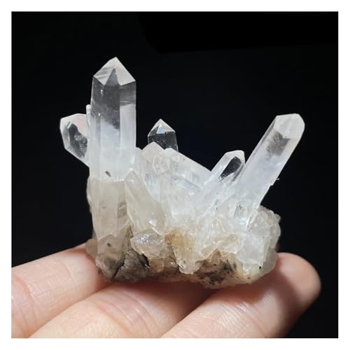 Espécimen Mineral de Roca de Cuarzo Cruda Colección Hogar 2