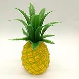HOFALUYUSUN