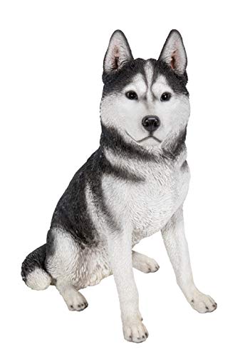 Estatua grande de Husky Siberiano negro y blanco miniatura 3