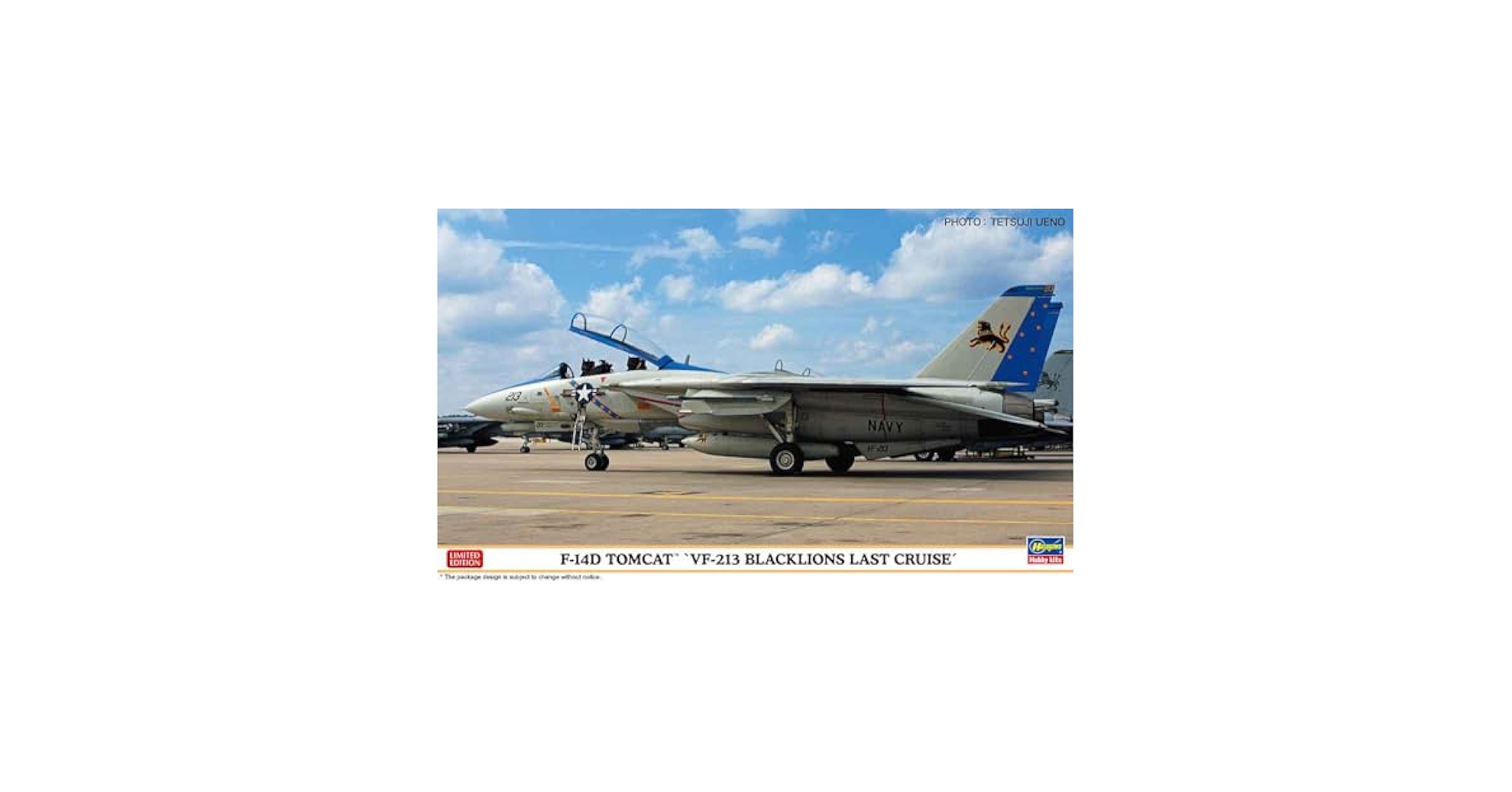 レア VF-213 ブラックライオンズ パッチセット CWU トムキャット ウイングド ファイターズ F-14D トムキャット U.S.NAVY VF-213