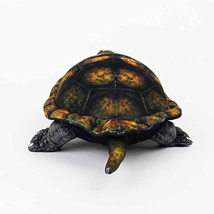 Amazon.co.jp: 太洋産業貿易 ワイルドグラフィ ぬいぐるみ イシガメ
