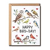 APVGifts Happy Bird-Day Card - Bird Birthday Card - Happy Birthday Card - Cute Bird Card - Greeting Card - Bird Lover Card - Gift For Family Friend