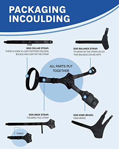 Merrymilo Dog Knee Brace For Torn Acl Hind Leg -Upgraded Anti-Slip, Support For Cruciate Ligament Injury, Arthritis, Joint Pain, Muscle Sore, Ccl Brace(Size: L, Right Leg) #TOP7