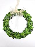 Tradingsmith Preserved Boxwood Wreath 8 in