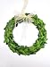 Tradingsmith Preserved Boxwood Wreath 8 in