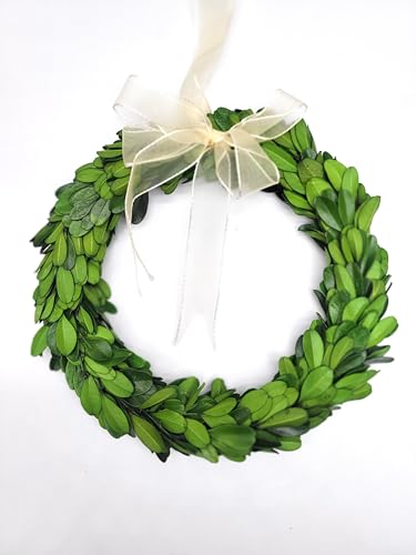 Preserved Boxwood Wreath 8 inch by Tradingsmith