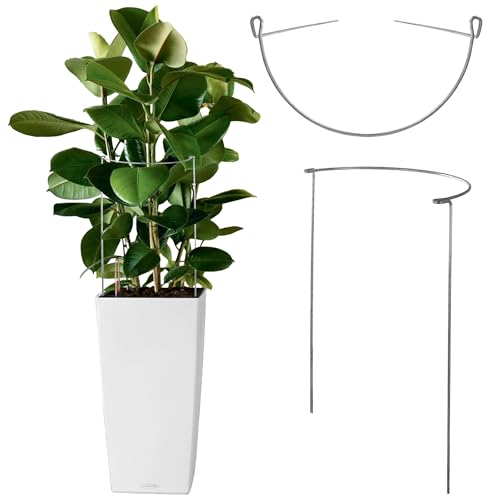 Preisvergleich Produktbild KADAX Pflanzenhalter 75cm, Stabiler Staudenhalter, halbrunde Pflanzenstütze aus Stahl, solide Strauchstütze für Rosen, Buschstütze, Rankengewächs, Blumenstütze, Staudenstütze