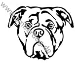 Wandgestaltung amberdog Continental Bulldogge Wandtattoo Art.Nr.TK0224 Größe 50x48cm