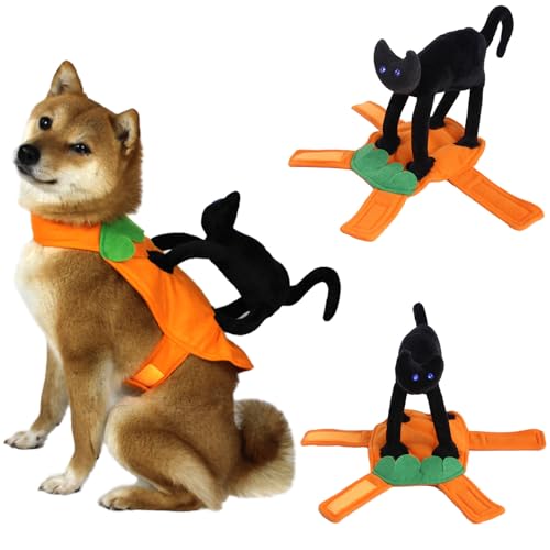 Black-Cat-Rider-Dog-Costume-Novelty-Dog-Halloween-Costumes-Pet-Riding-Costume-Dog-Clothes-for-Small-Medium-Dogs-Cats-Puppy-Cosplay-Funny-Knight-Style-Outfit-Party-Apparel