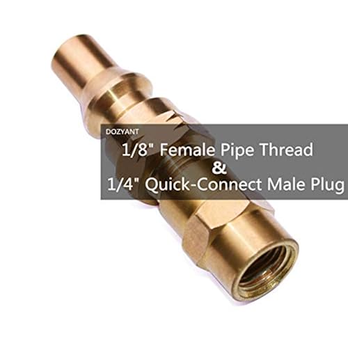 DOZYANT 12FT Propane Quick Hose Disconnect Conversion