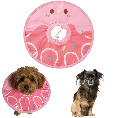 Lifetips �`�x�^���X�p�j�G�� �� �G���U�x�X�J���[ �L �G���U�x�X�J���[ �y�b�g�p �h�� �\�t�g �^�C�v ���L���p �p�� �P�A ���� �ی� ��� ��� �y�b�g �Ō� �p�i �y�� �₳���� �����S�n ���� �g�p �i�A�C�X�s���N�j �iS�j