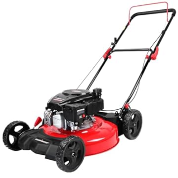 best gas lawn mower easy to push