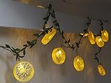  Citrus Lichterkette USB 15 LED warmweiß