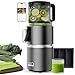 Anybear Entsafter mit 124 mm Einfüllschacht | 350W Slow Juicer mit Doppel-Zerkleinerungstechno... für Ganze Früchte & Gemüse | Hohe Saftausbeute | BPA-freies Tritan-Material | Mit Saftrezepten(Grau)
