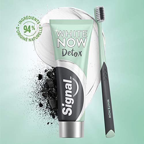 Signal White Now Zahnpasta Whitening Detox Ton & Aktivkohle, 75 ml – Bild 7