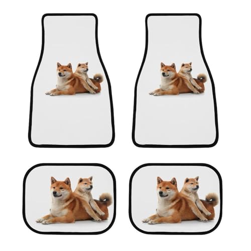 J[}bg Č   tA}bg  ԗptA}bg 4_Zbg y/ʎ O2E2 h~ ~ ېOK tȒP J[pi lGʗp