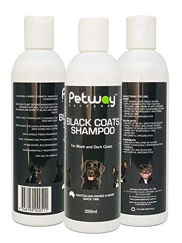 Petway Petcare Black Coat Shampoo, Natural Pet Shampoo For Dogs With Black Coats, Enhances Natural Coat Colours, Ph Balanced Biodegradable Dog Shampoo, Free Of Phosphates, Parabens & Enzymes, 250Ml #TOP1