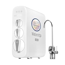 Waterdrop G3P600 Reverse...