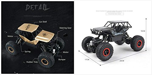 Telecomando Cars, veicolo Rabing RC Rock Crawler