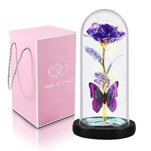 Mothers Day Gifts for Mom Preserved Rose, Glass Rose Flowers with Butterfly, Artificial Flower Rose in Glass Dome Birthday Gifts for Women Grandma