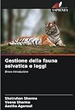 Edizioni Sapienza