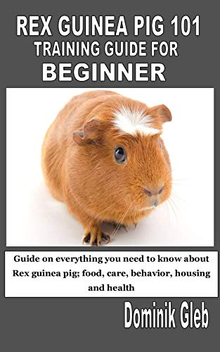 guinea pig 101