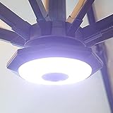 JunErQiCe