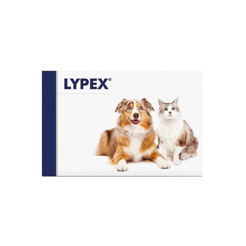 LYPEX BLISTER 60 CAPSULE