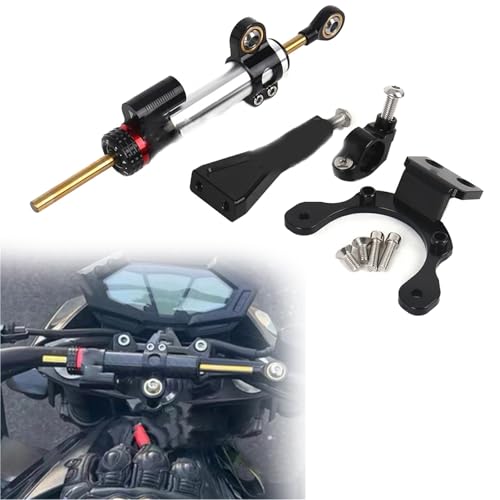 Support amortisseur direction Kawasaki Z900 accessoire moto kit montage argent