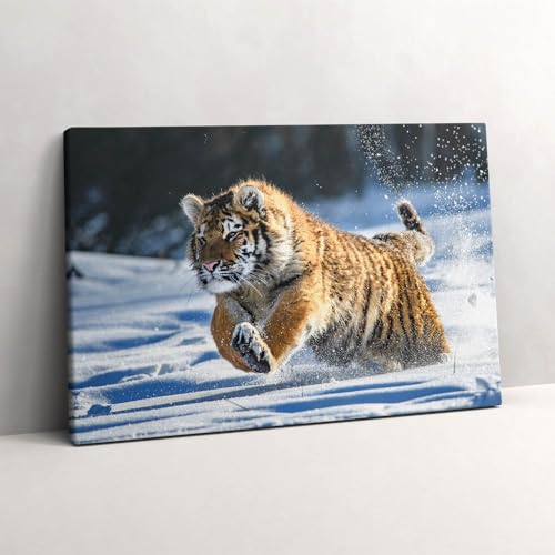 Image sur toile tigre dans la neige 60x40cm pour un salon moderne zen