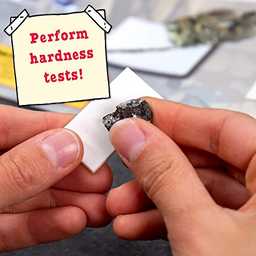 The Magic School Bus Rides Again: Exploring Rocks, Minerals, Crystals, At-Home Stem Kits For Kids Age 5 And Up, Crystal Kits For Young Scientists, Rock Experiments, Diy Rock Candy #TOP2