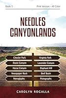 Needles Canyonlands: Needles, Chesler Park, Elephant Hill, Newspaper Rock, utah parks 172077398X Book Cover