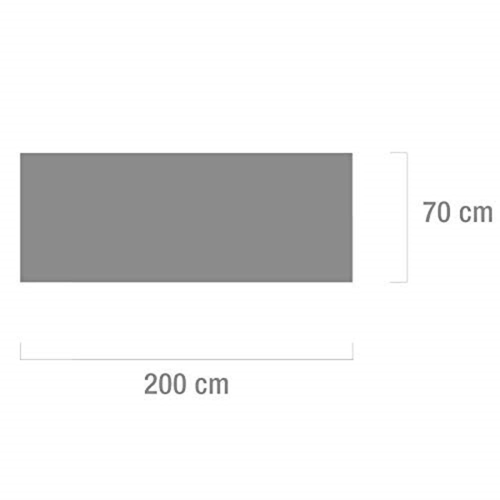 Teqler 131042mint Sábanas desechables para camillas de exámen y masaje, 200 cm x 70 cm (pack de 100 uds.)