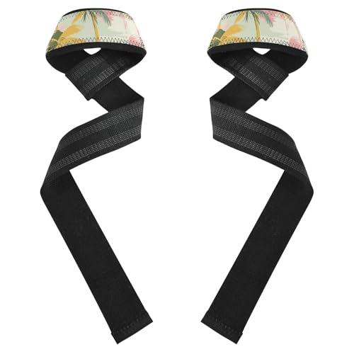 Nander Beautiful Tropical Palm Trees Wrist Straps for Weightlifting,Lifting Straps with Neoprene Cushioned Wrist Padded and Anti-Skid Silicone for Strength Training,Bodybuilding,Deadlifting