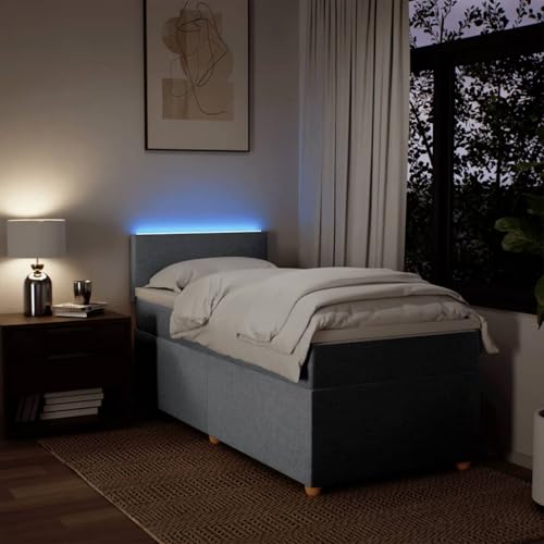IKAYAA Boxspringbett 100 x 200 cm mit Matratze, LED Beleuchtung, Topper & Kopfteil, Bett mit Matratze und Lattenrost 100 x 200 cm Polsterbett 100 x 200 cm mit Matratze Hellgrau Type-1