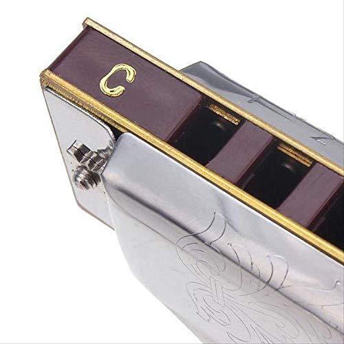 Harmonica Standard Débutant Diatonic Blues Gaita 10 trous Instrument de musique - Les Beatles, Paul McCartney, John Lennon, RIngo Starr, George Harrison Harmonica Standard Débutant Diatonic Blues Gaita 10 trous Instrument de musique – Image 5