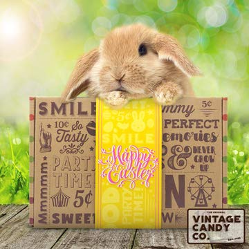 EASTER CANDY CARE PACKAGE EASTER GIFT BOX - Filled With Milk Chocolate Bunnies, Marshmallow Peeps, Foil Egg Candies, Jelly Beans + More! PERFECT For Girls Boys Kids College Students Adults