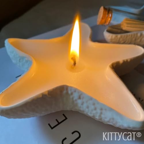 Image of Kitty Cat Aesthetic Soy Wax Scented Candles | Reusable Concrete Sea Shell Jars | Vanilla Aroma | 12+ Hours Burn Time | Perfect Home Decor for Bedroom, Office & Hostel (Star Candle)