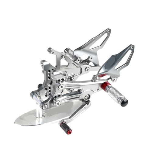 Cale-pieds arrière Panigale V4 pour résoudre le manque de duo
