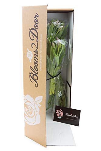 Image of KaBloom-30 Purple Tulip Bouquet,Flowers for Valentine, Mother's Day