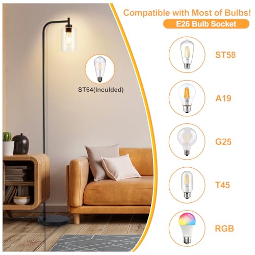 DLLT Floor Lamp Tall for Room: Black Standing Lamp with Clear Glass Lampshade for Living Room - Modern Bright Lamp for Bedroom - Industrial Corner Floor Lamps for Office 8W Led Bulb Included