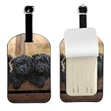 Cachorros de la familia Affenpinscher Perros negros Mono,Etiquetas de equipaje de cuero sintético con nombre, etiquetas de viaje duraderas, 2 unidades