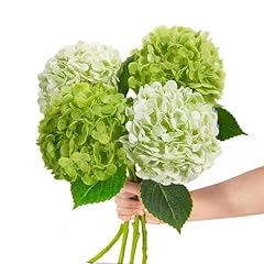 Light Green & Dark Green