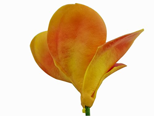 Bunch Of 10 Pu Real Touch Lifelike Artificial Plumeria Frangipani Flower Bouquets Wedding Home Party Decoration (Orange) #TOP4