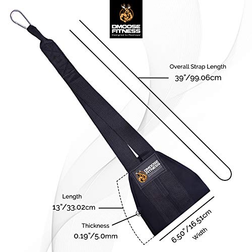 DMoose Fitness Hanging Ab Straps for Abdominal Muscle Building and Core Strength Training, Adjustable Arm Support for Ab Workouts, Padded Gym Equipment for Men and Women