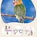 Bird Parrot Swing Toys Swing Hanging Wooden Perch Bird Cage Toys Chewing Standing for Budgie Parrots Macaw Budgerigar Finches