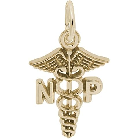 Rembrandt 14K Yellow Gold Nurse Practitioner Charm Cover