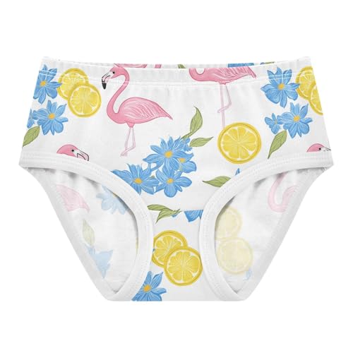 Wusikd Cute Pink Flamingo Girls' Underwear Cotton Lemon Girls Briefs Soft Toddler Underwear 2T