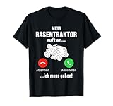 Rasenpflege Rasentraktor Aufsitzrasenmäher Rasen